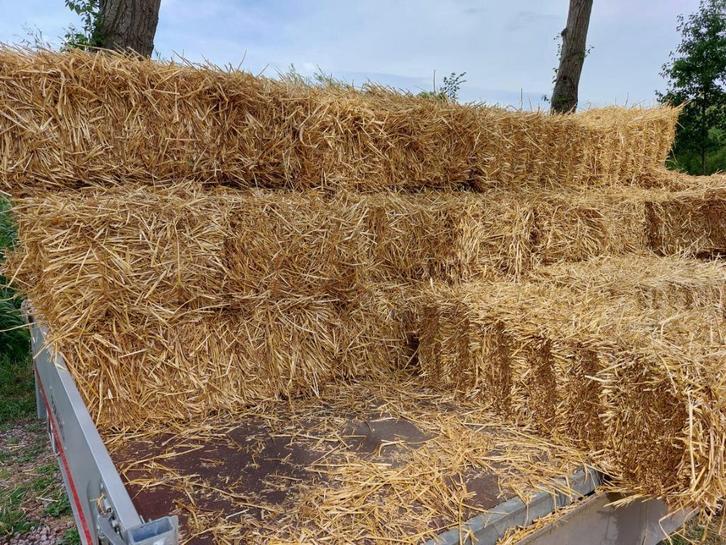 Tarwestro en Hooi, Dieren en Toebehoren, Dierenvoeding, Vee, Ophalen