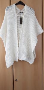 Mooie pancho, Kleding | Dames, Ophalen of Verzenden, Nieuw