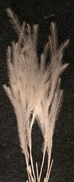 Kerst decoratie kunstof witte tak prijs per tak, Diversen, Kerst, Ophalen, Nieuw