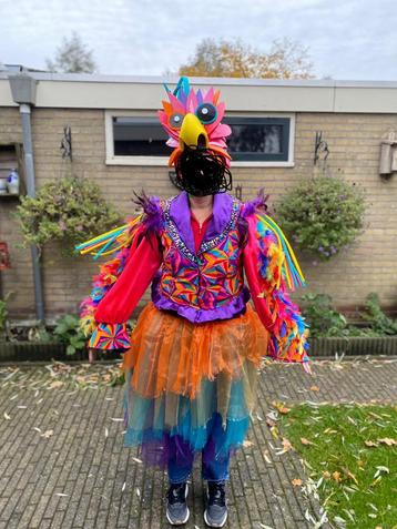 Vogelpakken /carnavalspakken 4 stuks beschikbaar voor biedingen