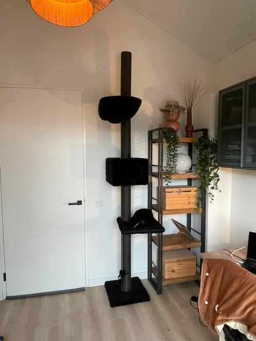 Plafond krabpaal - zwart, Dieren en Toebehoren, Krabmeubelen, Gebruikt, Ophalen
