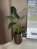 Bloempot brons bronskleurig chique 50cm, Gebruikt, Rond, Binnen, 40 tot 70 cm