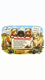 Verzorgster shetlanders gezocht, Ophalen of Verzenden