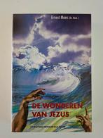 Maes - Wonderen van jesus, Ophalen of Verzenden, Zo goed als nieuw, Maes