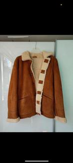 Schott NYC heren/unisex lammy coat maat XL, Kleding | Heren, Jassen | Winter, Ophalen of Verzenden, Zo goed als nieuw, Maat 56/58 (XL)
