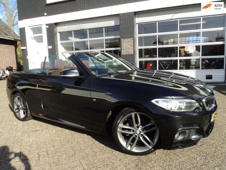 BMW 2-serie Cabrio 218i High Executive, Auto's, BMW, Bedrijf, Te koop, 2-Serie, ABS, Airbags, Airconditioning, Bluetooth, Boordcomputer