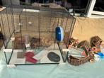 Ferplast Hamsterkooi 60x40x50, Dieren en Toebehoren, Minder dan 60 cm, Kooi, Gebruikt, Ophalen of Verzenden