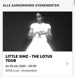 Little Simz - AFAS Live Amsterdam staanplaats, Eén persoon