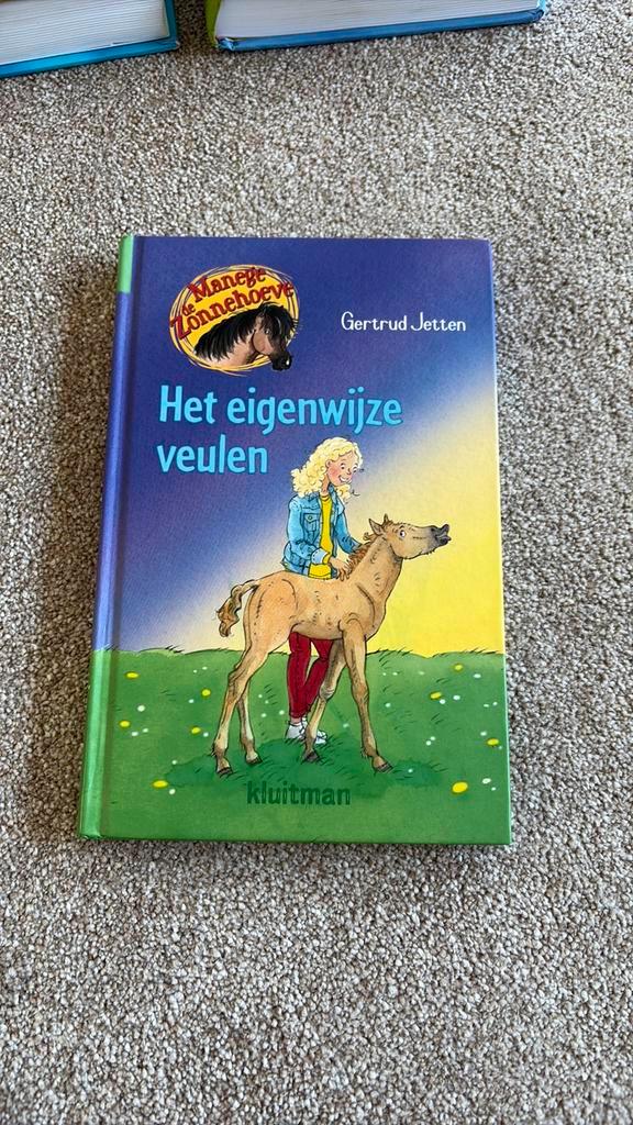 Gertrud Jetten - Het eigenwijze veulen, Boeken, Kinderboeken | Jeugd | onder 10 jaar, Zo goed als nieuw, Fictie algemeen, Ophalen of Verzenden