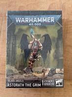 Astorath the Grim bloodangels chaplain warhammer 40.000, Hobby en Vrije tijd, Ophalen of Verzenden, Zo goed als nieuw, Warhammer
