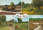 DIEVER Heide Paarden Koeien Kudde, Verzenden, 1960 tot 1980, Gelopen, Drenthe