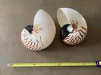 2 nautillus schelp, Verzamelen, Mineralen en Fossielen, Ophalen of Verzenden, Schelp(en)