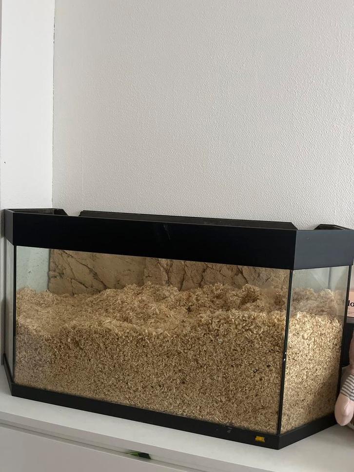 Juwel aquarium (gebruikt voor hamsters), Dieren en Toebehoren, Knaagdieren en Konijnen | Hokken en Kooien, Gebruikt, Hok, Minder dan 60 cm