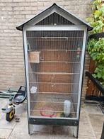5 rijstvogels Java Sparrow + XXXL kooi cage + hout nestje, Ophalen, Gebruikt, Metaal, Vogelkooi