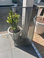 Rooster, Tuin en Terras, Deurmatten, Ophalen of Verzenden, Zo goed als nieuw
