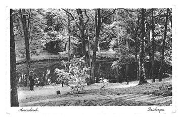 990298 Driebergen Acaciabosch 1928 Utr Gelopen met postzegel beschikbaar voor biedingen
