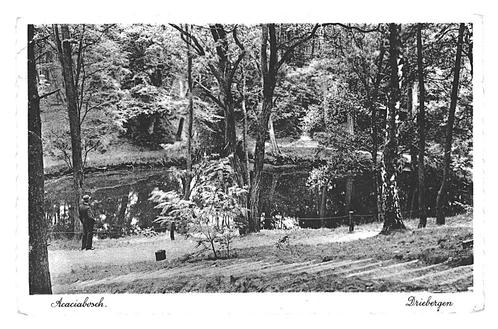 990298 Driebergen Acaciabosch 1928 Utr Gelopen met postzegel, Verzamelen, Ansichtkaarten | Nederland, Gelopen, Utrecht, 1920 tot 1940