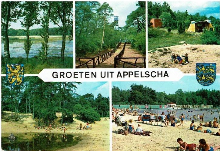 Ansichtkaart Appelscha, recreatie, stand, camping,, Verzamelen, Ansichtkaarten | Nederland, Gelopen, Friesland, 1960 tot 1980