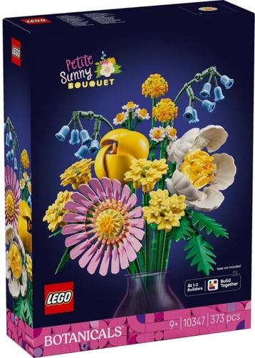LEGO 10347 The Botanicals Klein Zomerboeket beschikbaar voor biedingen
