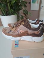 Signorino eigen merk Van der assem mt 38, Kleding | Dames, Schoenen, Overige kleuren, Ophalen of Verzenden, Signorino, Sneakers of Gympen