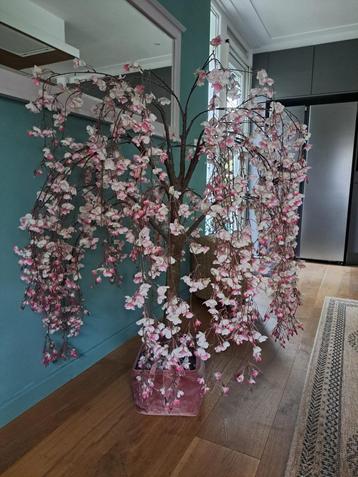 Kunst kersenbloem boom beschikbaar voor biedingen