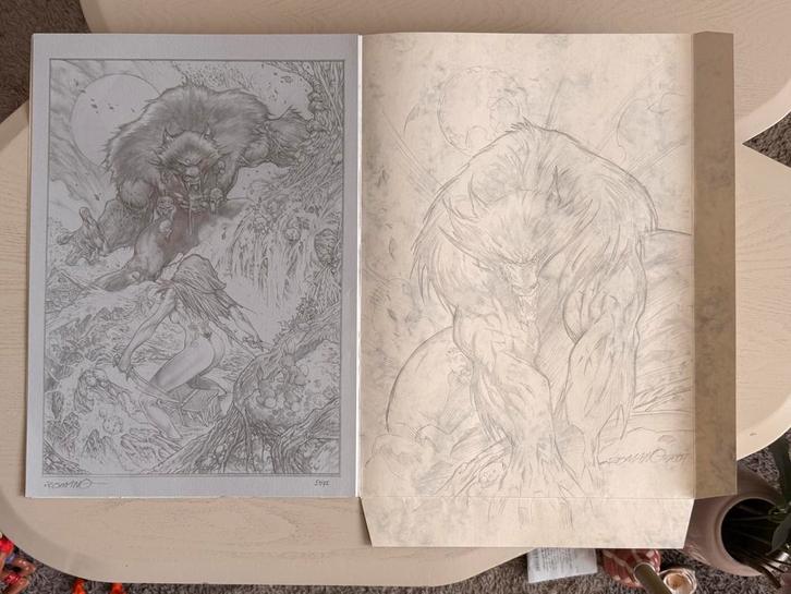 Romano Molenaar gesigneerde prints / schetsen (gelimiteerd), Boeken, Stripboeken, Zo goed als nieuw, Eén stripboek, Ophalen of Verzenden