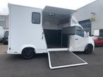 Opel Movano paardenwagen, Auto's, Euro 5, 4 cilinders, 2500 kg, Grijs