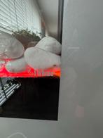 Faber Sfeerhaard, Huis en Inrichting, Kachels, Ophalen, Elektrisch, Zo goed als nieuw, Hangend