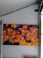 Te koop bloemen schilderij, Ophalen, Zo goed als nieuw, Foto of Poster, 75 cm of meer