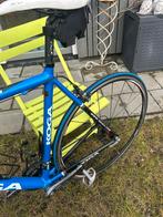 Koga Team Edition Racefiets, 28 inch, Gebruikt, Carbon, 10 tot 15 versnellingen