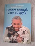 Cesar Millan - Cesars aanpak voor puppy's, Honden, Zo goed als nieuw, Cesar Millan, Ophalen of Verzenden