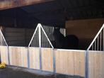 Paardenstal delen, Dieren en Toebehoren, Stalling, 2 of 3 paarden of pony's