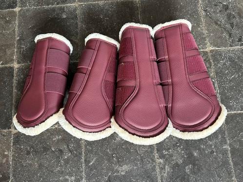 Ps of sweden beschermers wine bordeaux full nieuw, Dieren en Toebehoren, Paarden en Pony's | Beschermers, Nieuw, Ophalen of Verzenden