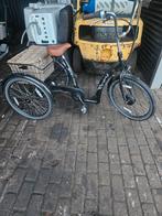 Easy Ride Driewieler Fiets, Ophalen, Gebruikt