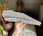 Ichthyosaurus onderkaak uit Holzmaden, Ophalen of Verzenden, Fossiel