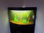 Juwel Trigon 190, Dieren en Toebehoren, Vissen | Aquaria en Toebehoren, Ophalen, Gebruikt, Leeg aquarium