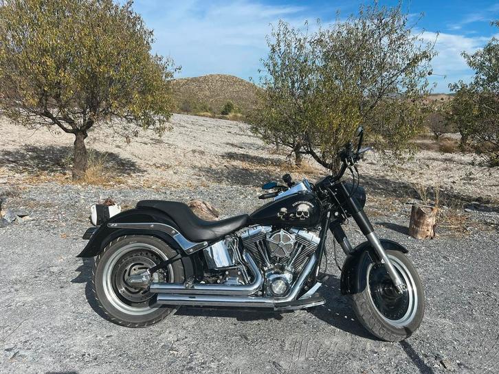 Harley Davidson FLSTF Fat Boy – 2007 – 1584cc Special Paint, Motoren, Motoren | Harley-Davidson, Particulier, Overig, meer dan 35 kW