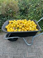 Kweeperen onbespoten uit eigen tuin, Diversen, Levensmiddelen, Ophalen