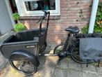 Socibike bakfiets hond met deurtje met garantie, Fietsen en Brommers, Fietsen | Bakfietsen, Overige merken, Elektrisch, Ophalen of Verzenden