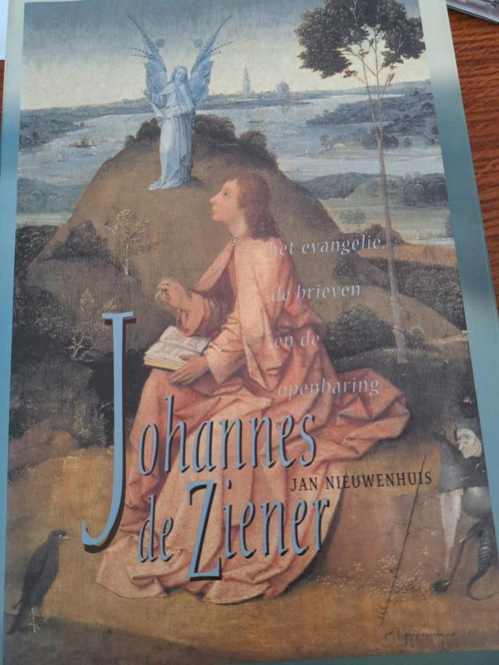 Johannes de Ziener - JAN NIEUWENHUIS (2004), Boeken, Godsdienst en Theologie, Gelezen, Ophalen of Verzenden