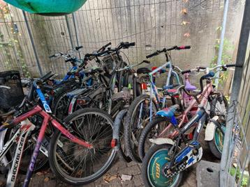 Partij ongerepareerde Jongensfietsen, meisjes,dames en heren beschikbaar voor biedingen