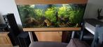 Aquarium +- 450 liter compleet, Ophalen, Gebruikt, Gevuld zoetwateraquarium