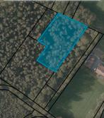 Bosgrond Kessel 8002m2, Tuin en Terras, Planten | Bomen, Ophalen, Volle zon, Overige soorten