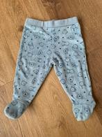 Lichtblauw broekje, Kinderen en Baby's, Babykleding | Maat 68, Ophalen of Verzenden, Jongetje of Meisje, Zo goed als nieuw, Broekje