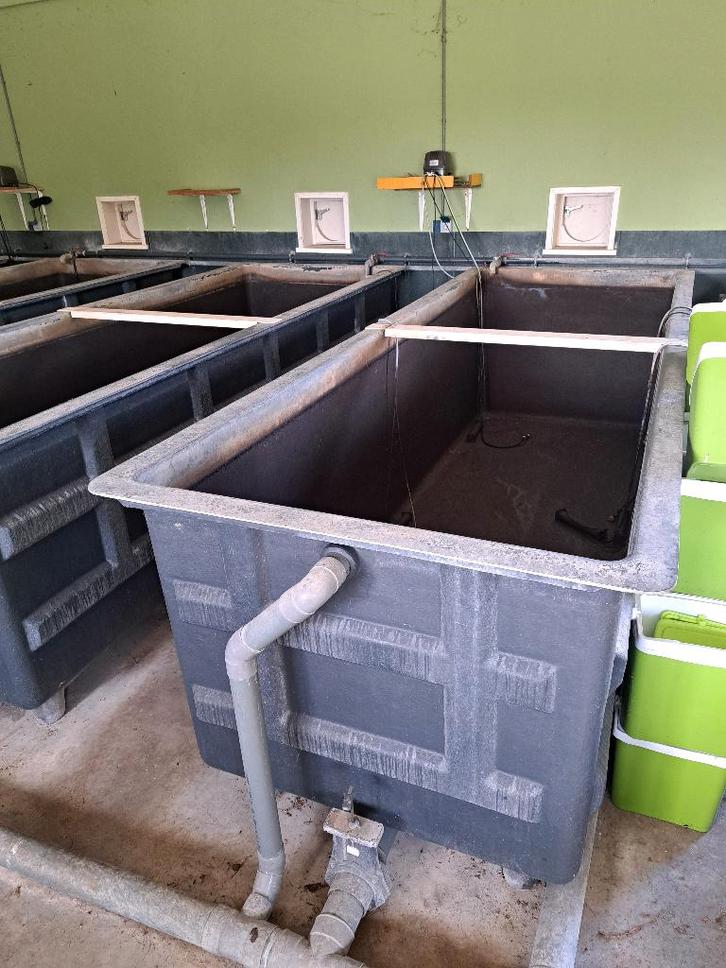 Polyester visbak 5,2m³ (DK Polyester), Dieren en Toebehoren, Vissen | Vijvervissen, Overige soorten