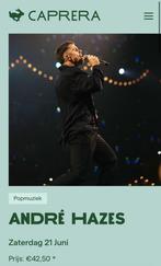 4 kaartjes te koop, caprera, Andre Hazes 21 juni 15.30 uur, Tickets en Kaartjes, Drie personen of meer, Juni