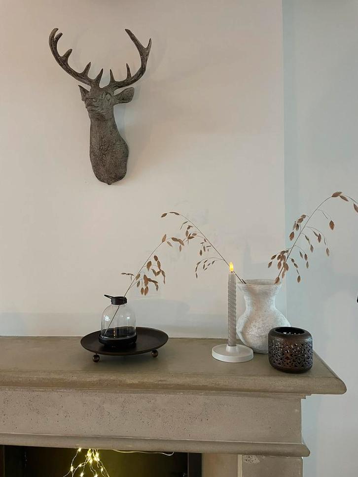 Mooie roest / bruin kleurige stolp, dienblad en waxinelicht, Huis en Inrichting, Woonaccessoires | Stolpen, Zo goed als nieuw