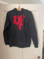 Hoodie Knolpower (KP) 158/164, Gebruikt, Trui of Vest, Knolpower, Ophalen of Verzenden