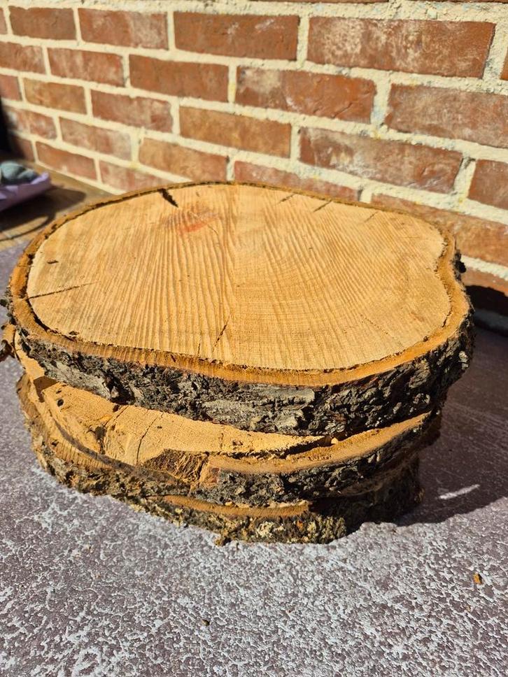 Boomstam Schijven - 5 Stuks, Huis en Inrichting, Woonaccessoires | Onderzetters, Overig, Ophalen of Verzenden