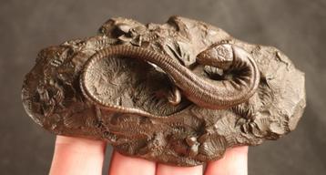 Antiek bronzen salamander sculptuur  beschikbaar voor biedingen